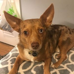 Meet your Posher, Justine